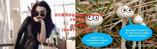 дмт Алексеевка