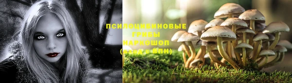 стафф Алзамай