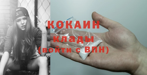 стафф Алзамай