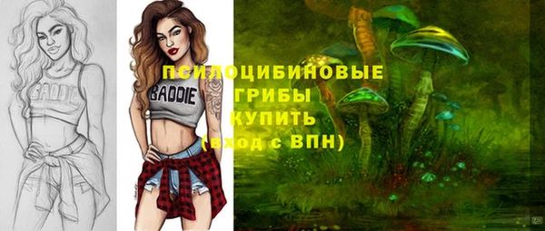 ECSTASY Алексин