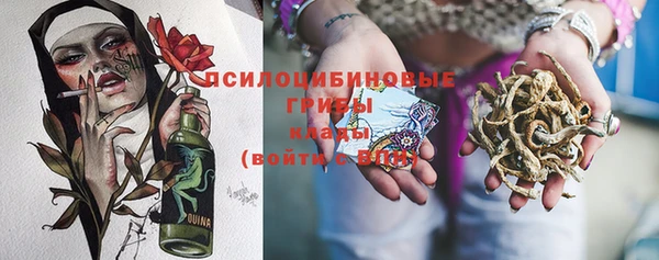 дмт Алексеевка