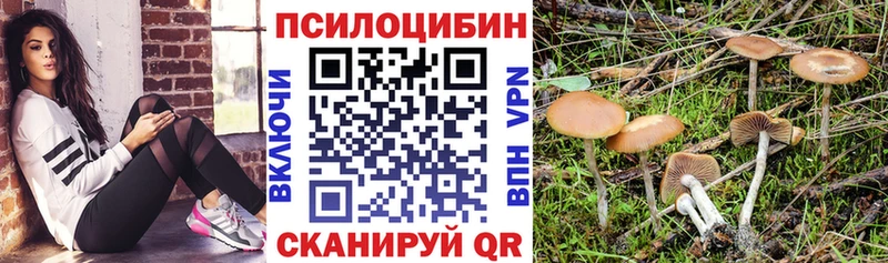 ссылка на мегу   Шадринск  Галлюциногенные грибы Magic Shrooms 