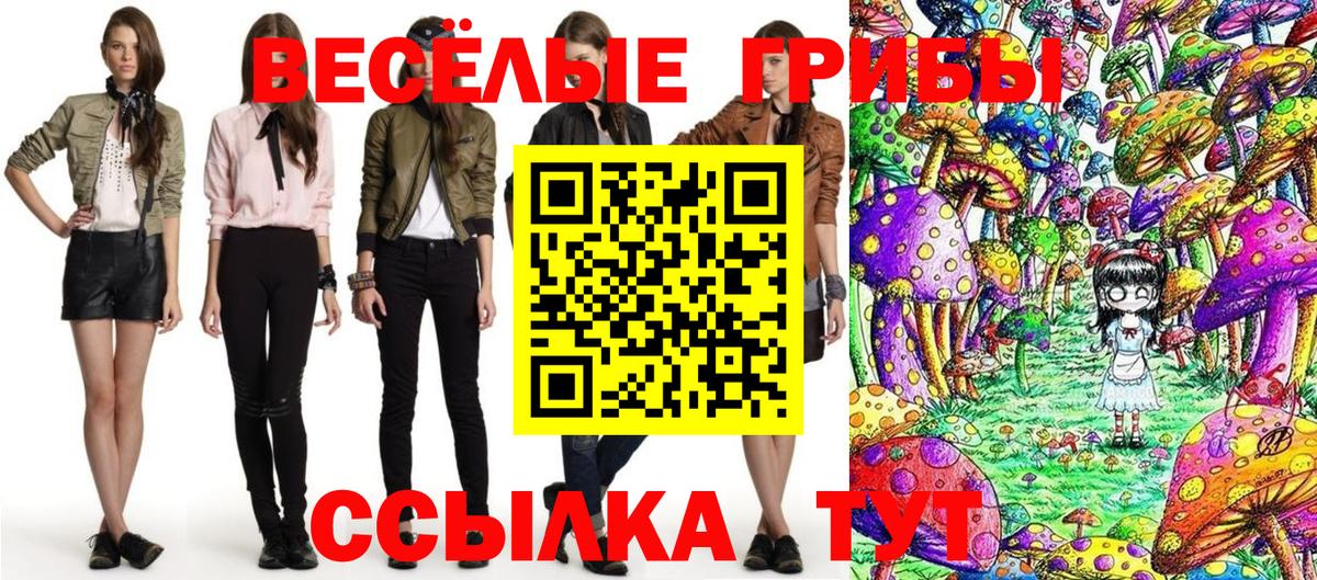 Галлюциногенные грибы Cubensis  Вход с VPN  Шадринск 
