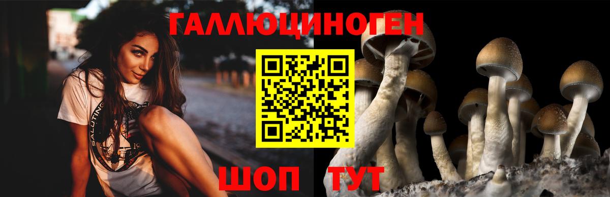 Галлюциногенные грибы мицелий Шадринск